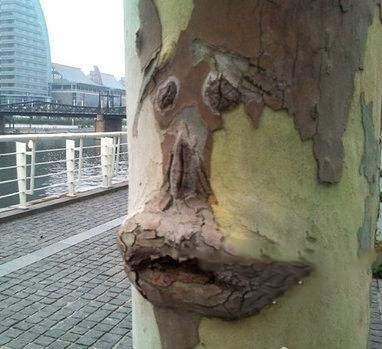 Ϊʲôôư