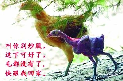 炒股的危害